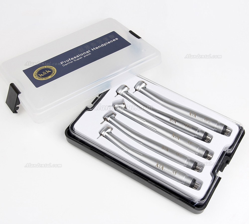 LY H502 High Speed Turbine Handpiece Kit Torque/Standard/45 Degree Head 2/4 Holes